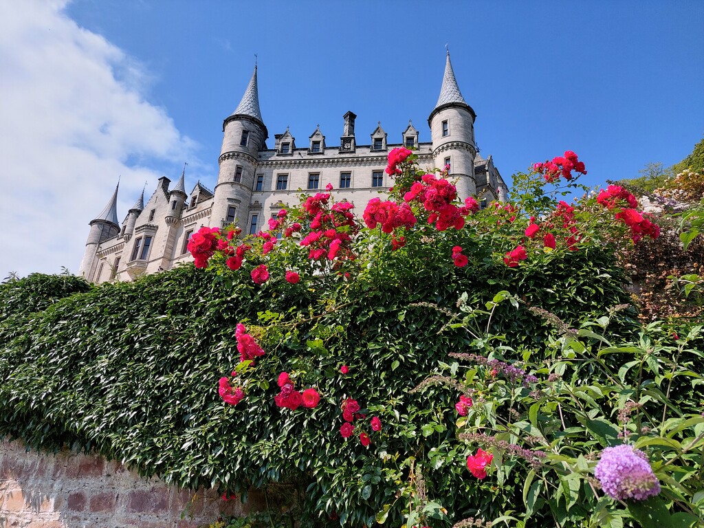 Dunrobin Castle, Sutherland  by samcat