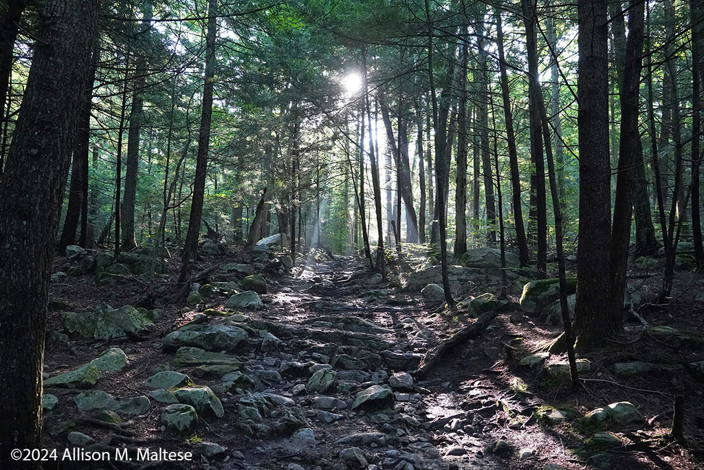 Lye Brook Trailhead by falcon11