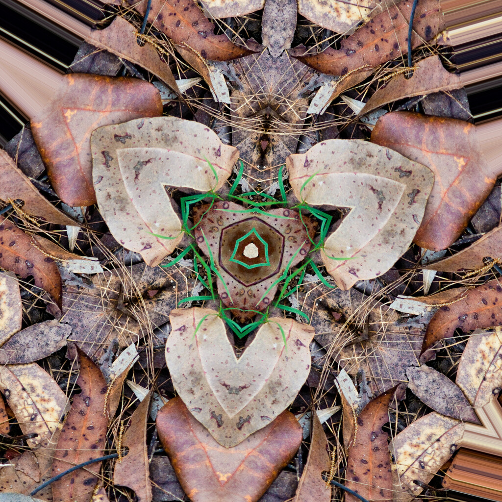 Abstract 6 - Kaleidoscope by annied