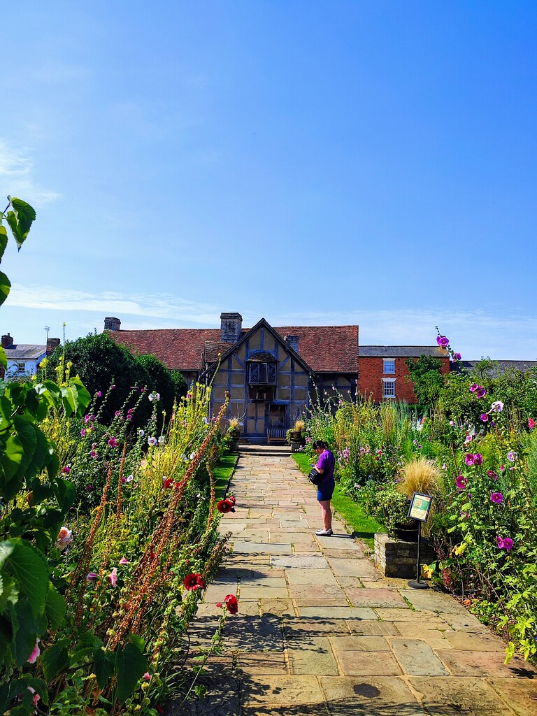 Shakespeare's birthplace. by franbalsera