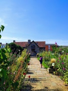 6th Aug 2024 - Shakespeare's birthplace.