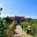 Shakespeare's birthplace. by franbalsera