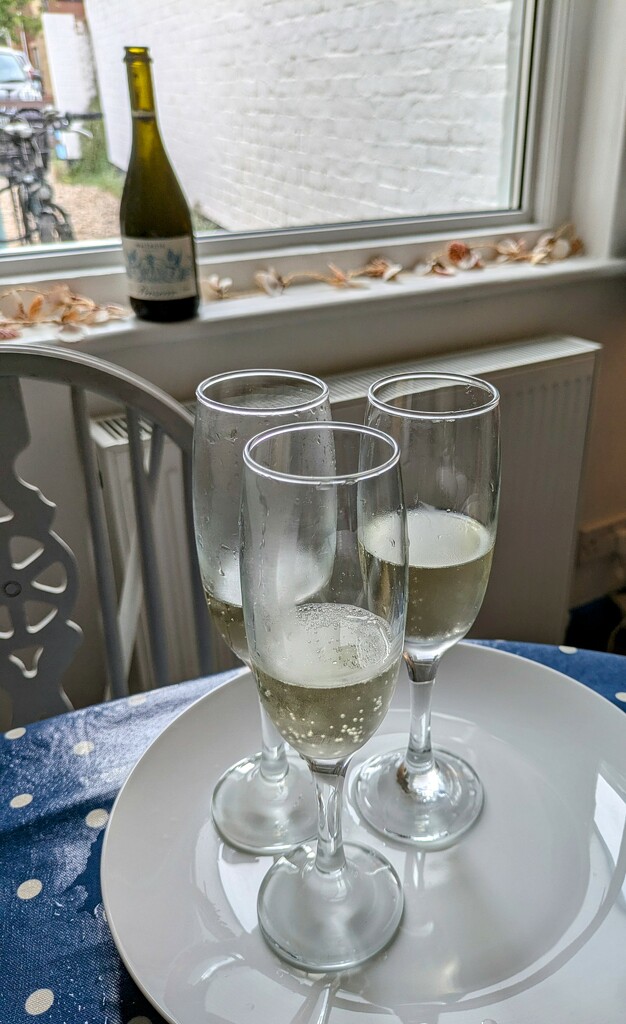 Frozen prosecco  by boxplayer