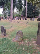 6th Aug 2024 - Graveyard 