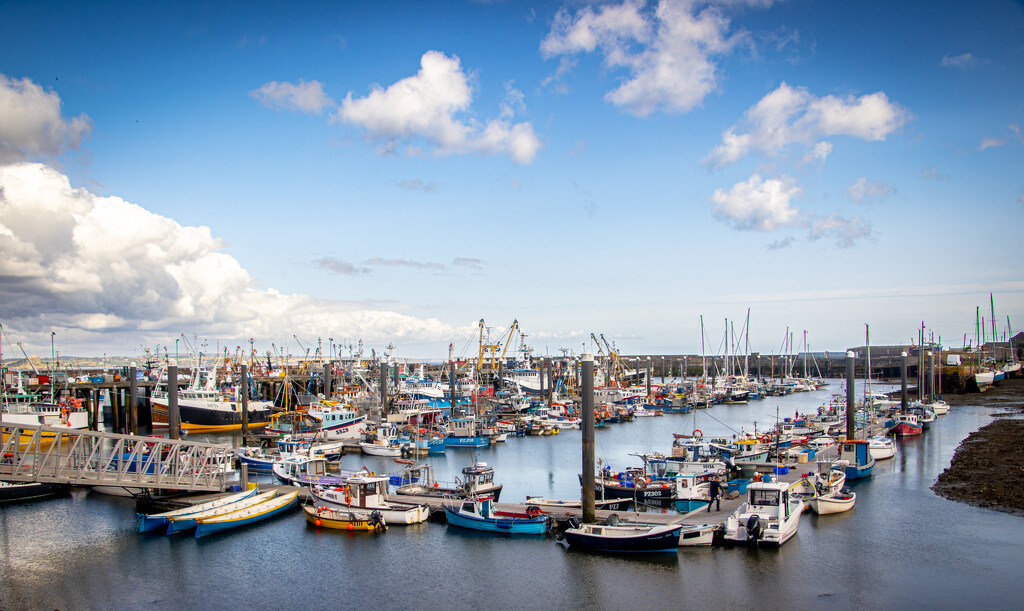 Newlyn Harbour  by swillinbillyflynn