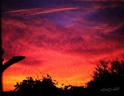 5th Aug 2024 - sunset after tropical storm debby