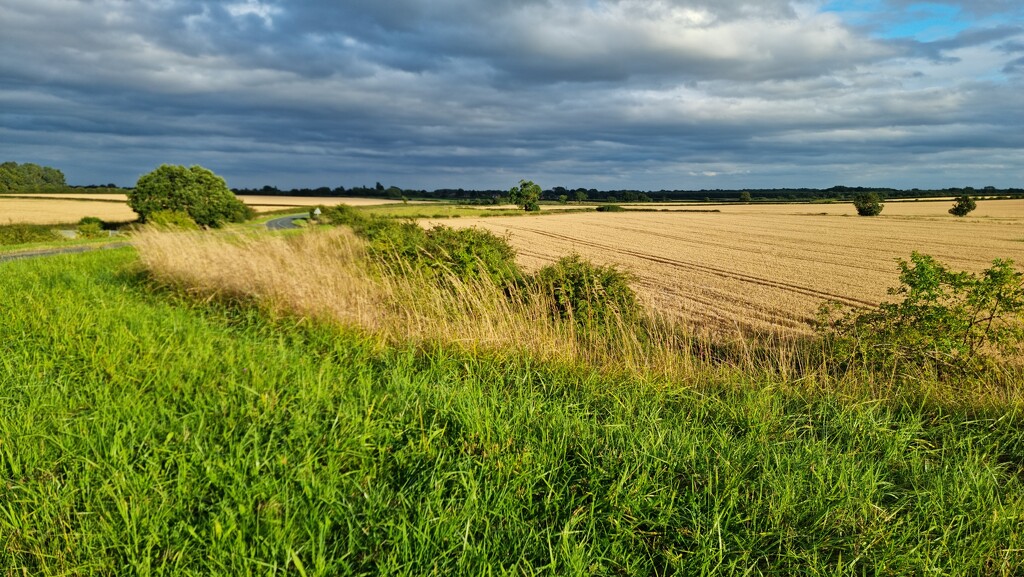 Rural idyll by angelar