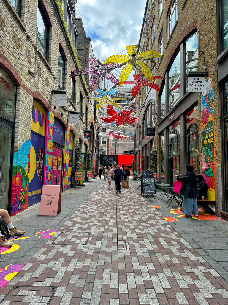 Colorful street.  by cocobella