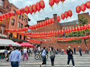 25th Jul 2024 - Red lanterns. 