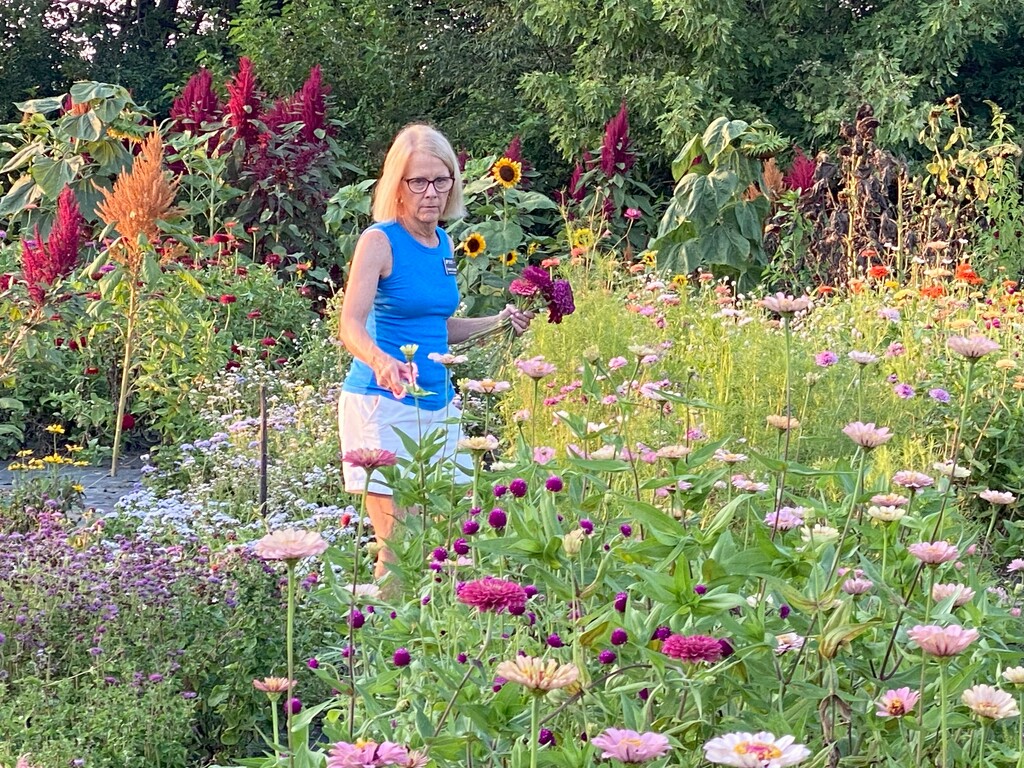 A friend gathering a bouquet by tunia