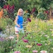 A friend gathering a bouquet by tunia