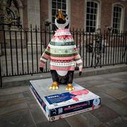 6th Aug 2024 - It's 'Penguin-ing' to look a lot like Christmas! 