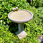 6th Aug 2024 - Our New Birdbath