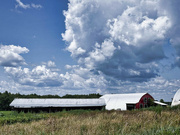 6th Aug 2024 - Farm-clouds