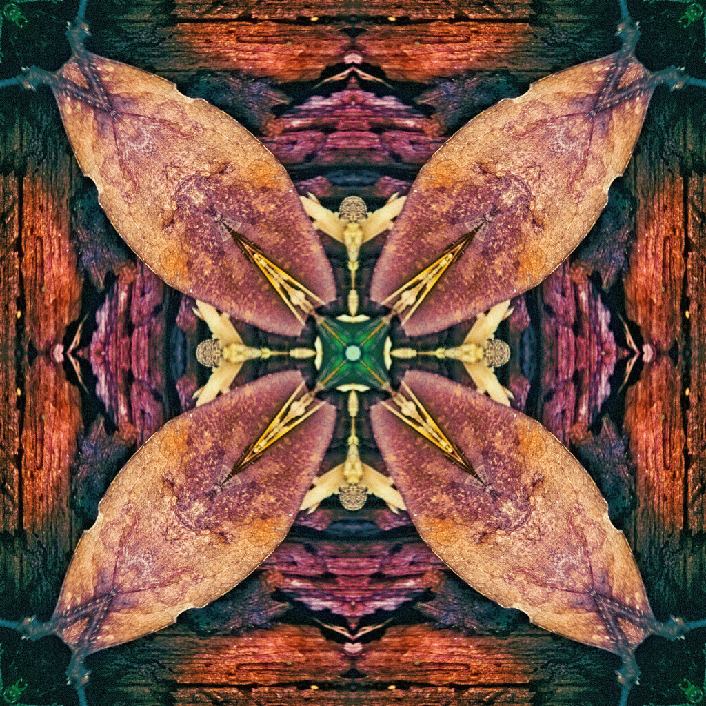 Abstract 7 - Kaleidoscope by annied