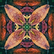 7th Aug 2024 - Abstract 7 - Kaleidoscope