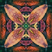 Abstract 7 - Kaleidoscope by annied