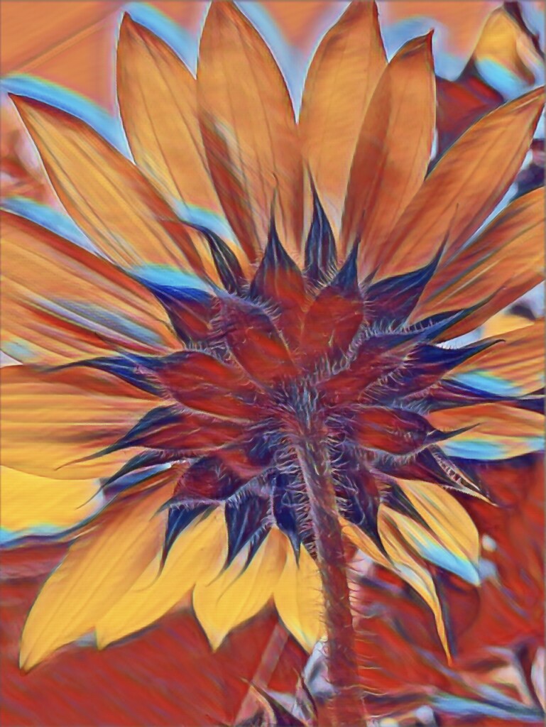 Abstract Sunflower by joysfocus