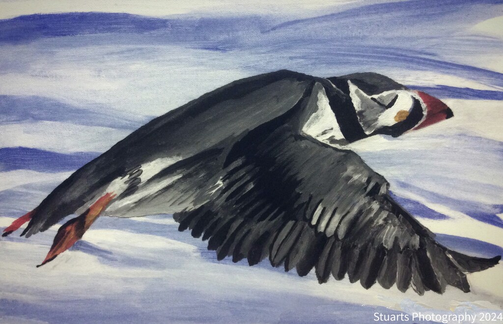 Puffin (painting) by stuart46