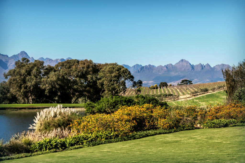 The Helderberg in the distance by ludwigsdiana