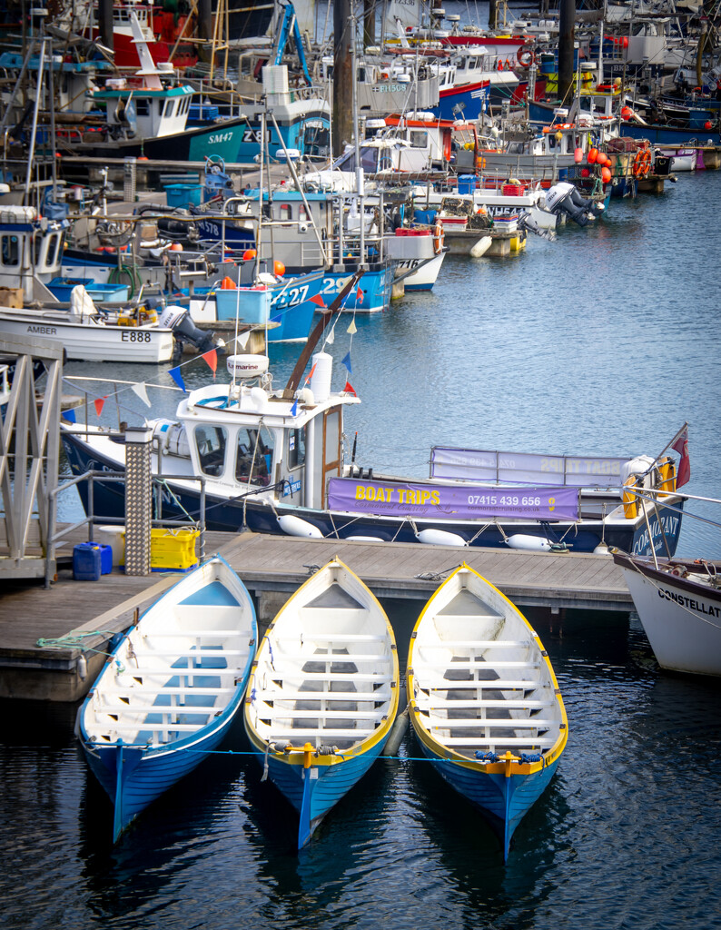 Gig boats in Newlyn harbour by swillinbillyflynn