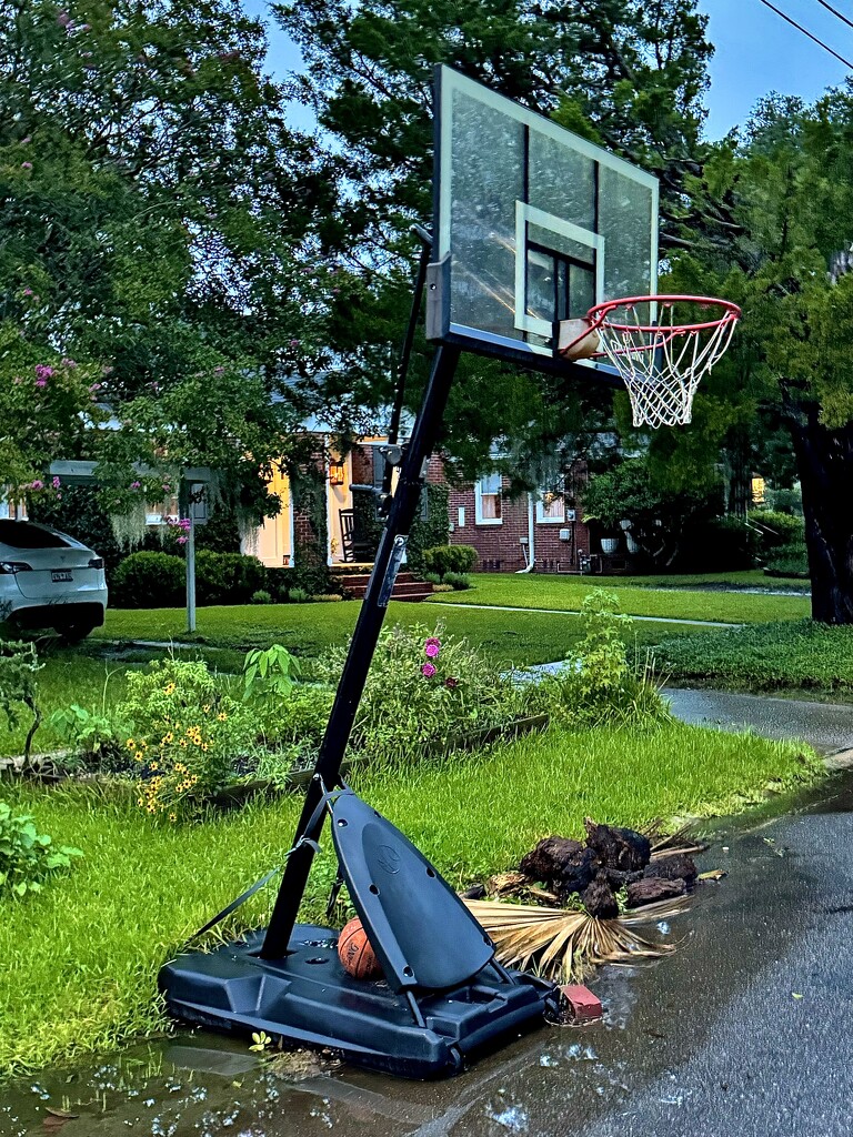 Hoop dreams, early evening Byrnes  Downs, Charleston, SC by congaree