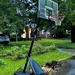 Hoop dreams, early evening Byrnes  Downs, Charleston, SC by congaree