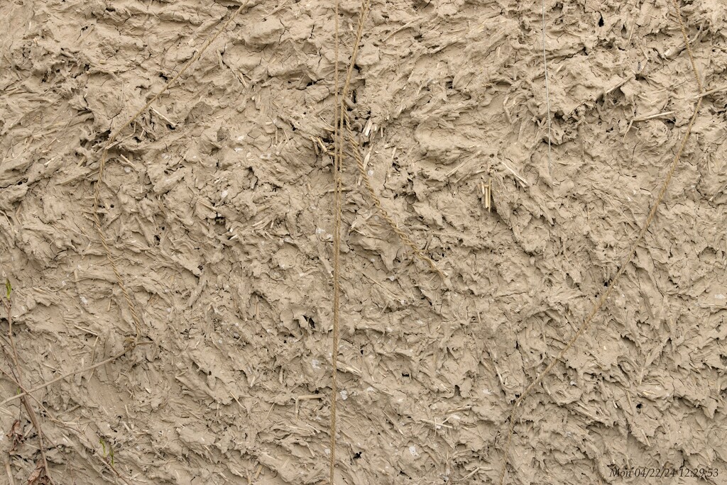 Rammed Earth by wh2021