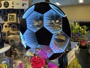 7th Aug 2024 - Optical Illusion Soccer Ball