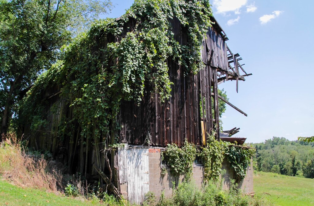 Barn 7 by mittens