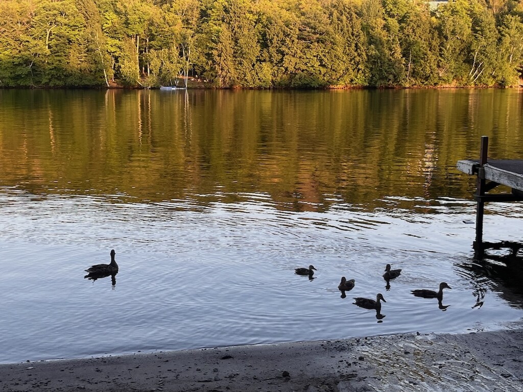 The Boat Launch by sunnygreenwood