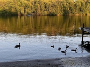 17th Jul 2024 - The Boat Launch