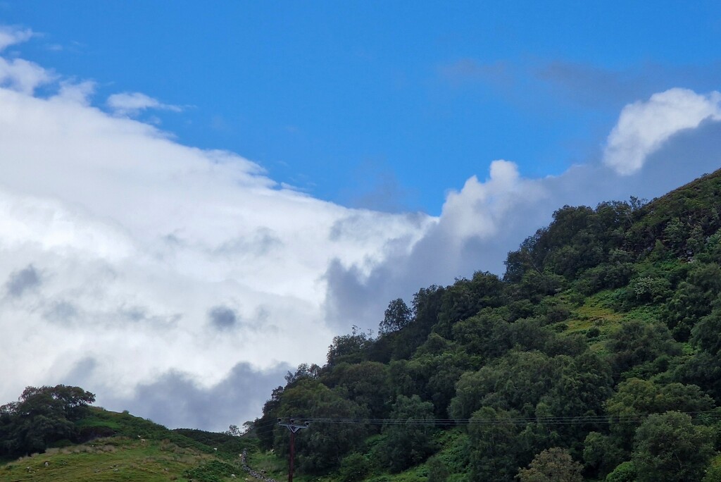 blue white green by christophercox