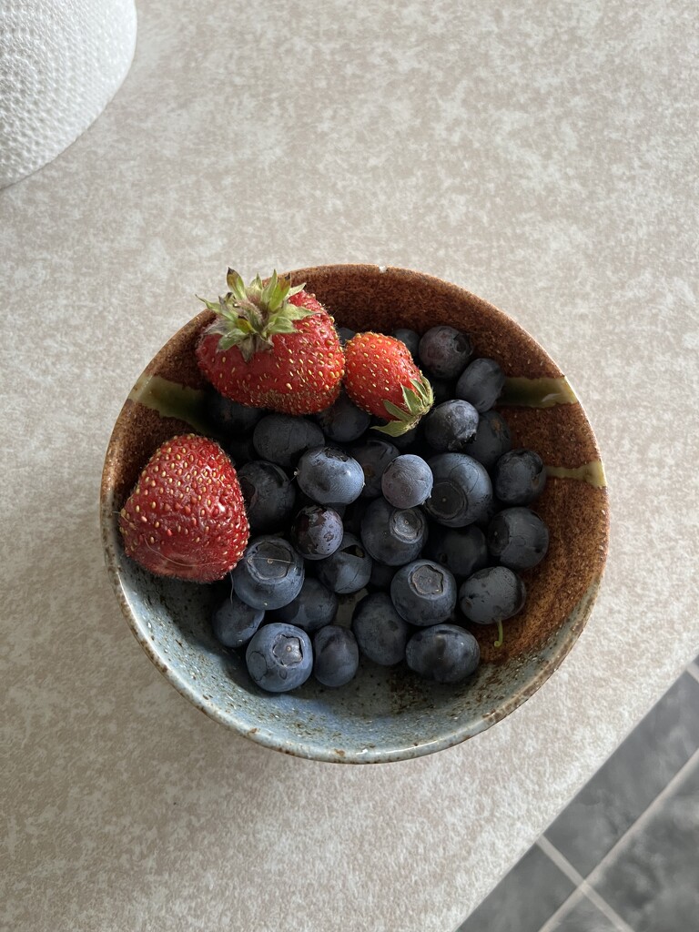 Blueberries from the garden by helenawall