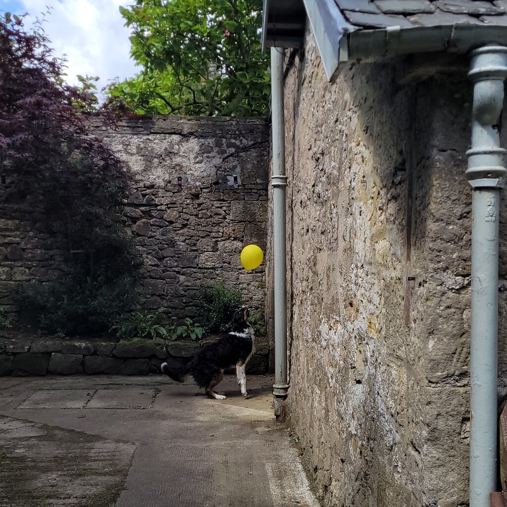 Yellow balloon by clearday