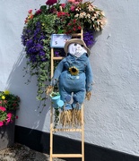 7th Aug 2024 - Tending the flower trough