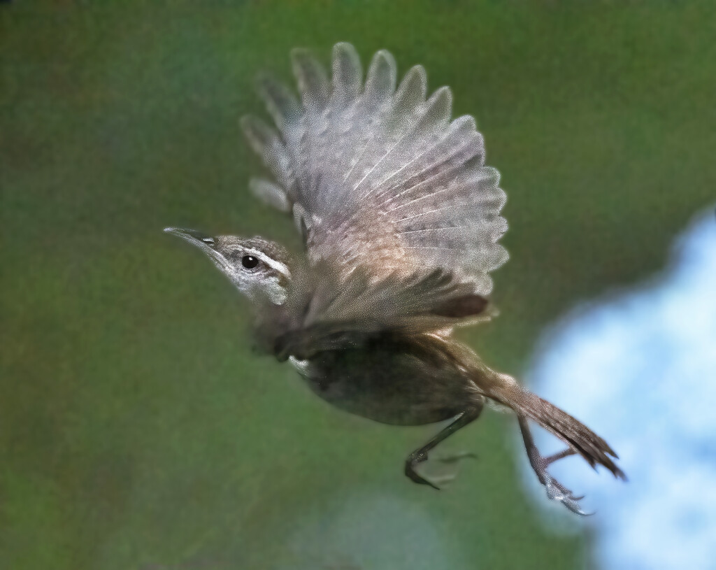 Lift off by mccarth1