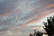 7th Aug 2024 - Evening Sky 2