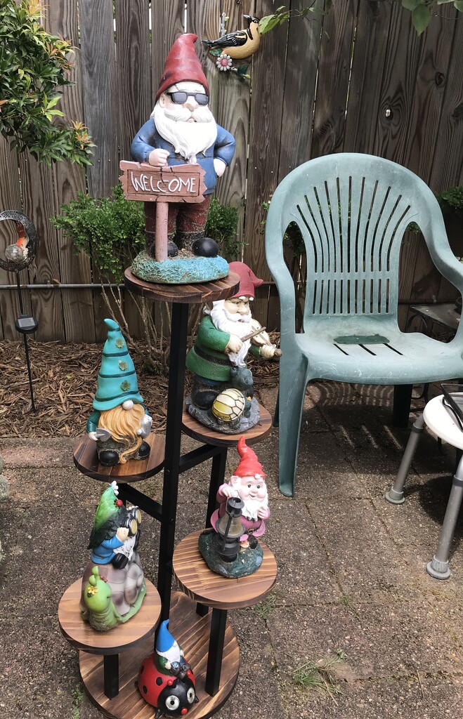 Gnomes on Display by allie912