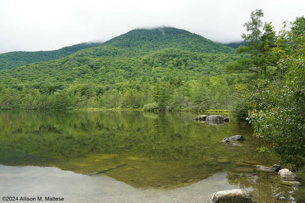 Equinox Pond Trail by falcon11