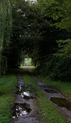 8th Aug 2024 - Another farm in the distance 