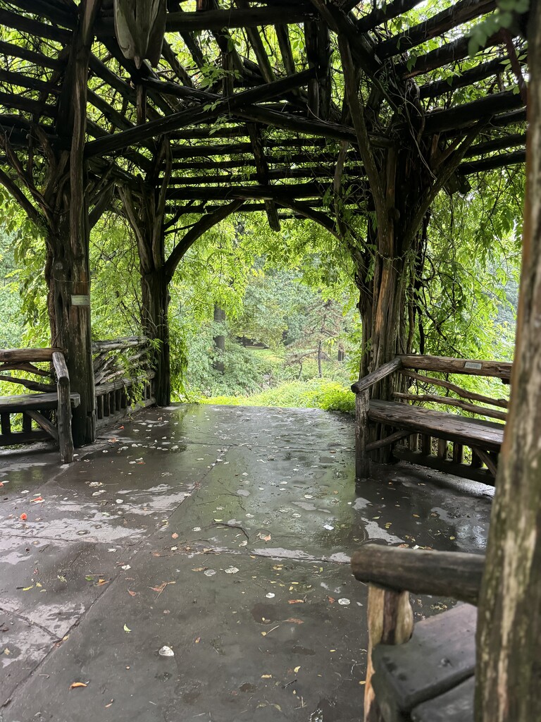 Gazebo in Central Park by blackmutts