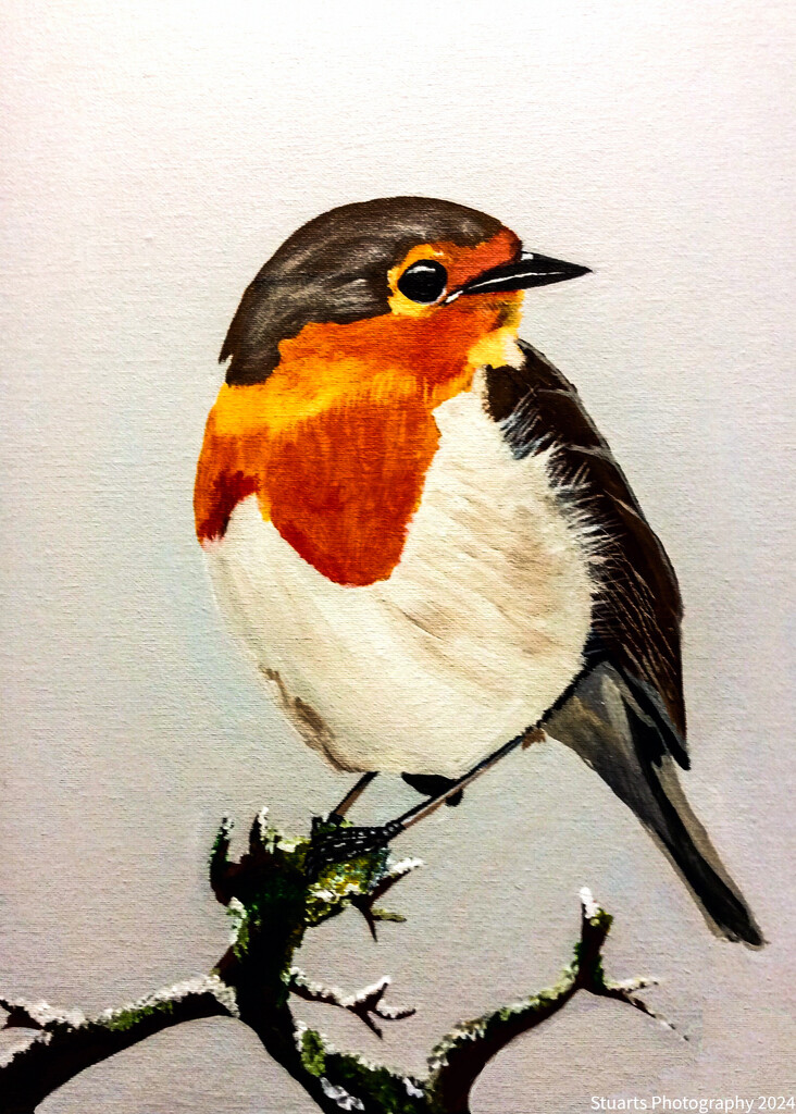 Robin on a branch (painting) by stuart46