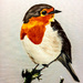 Robin on a branch (painting) by stuart46