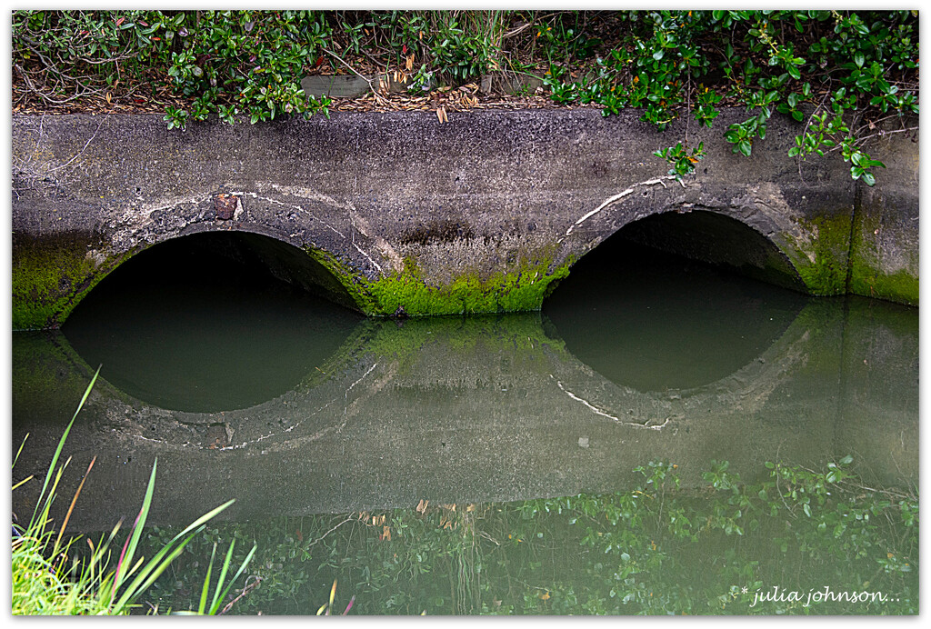 Eyes on the Estuary.. by julzmaioro