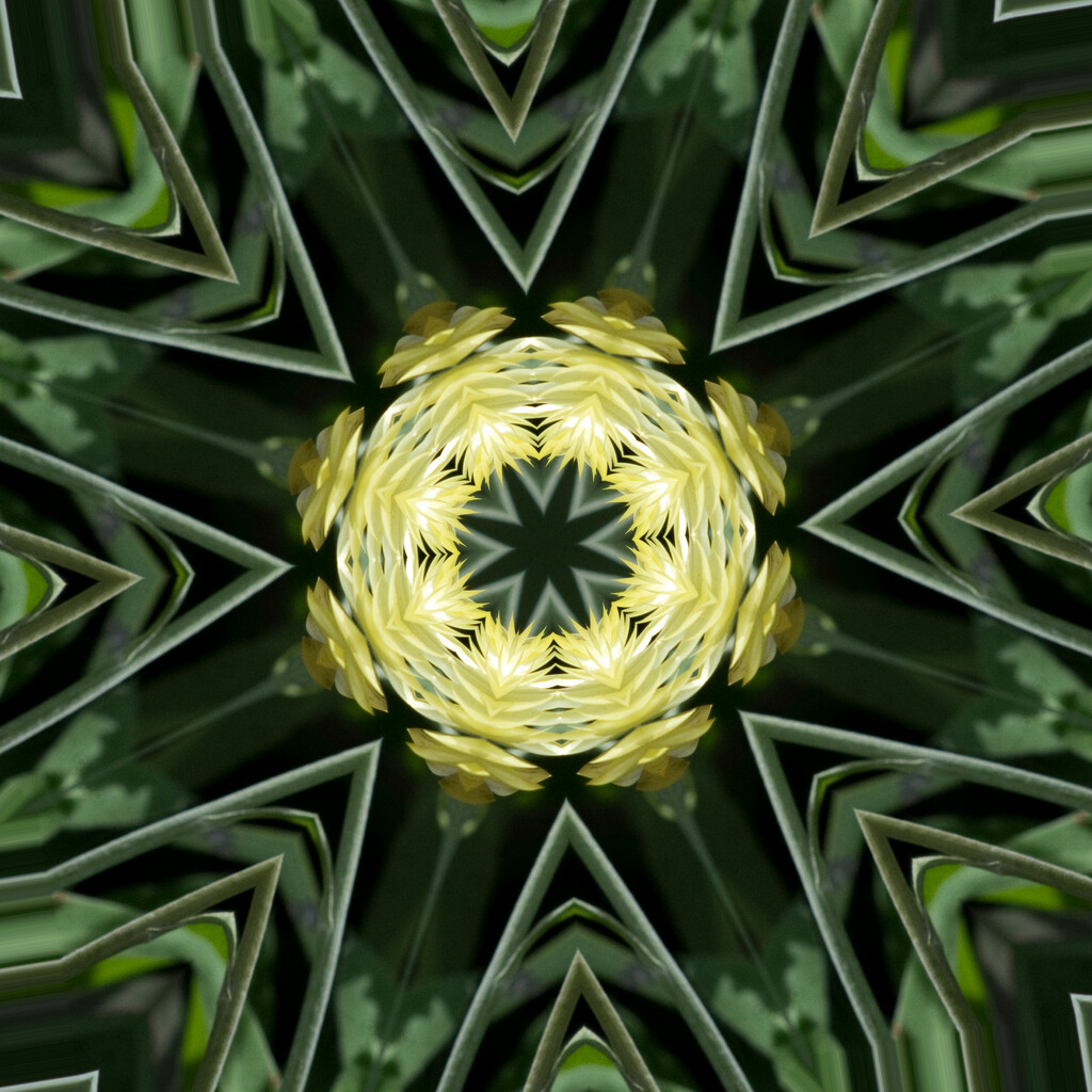 Abstract 8 - Kaleidoscope by annied