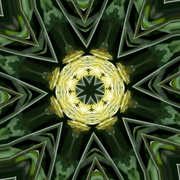 8th Aug 2024 - Abstract 8 - Kaleidoscope