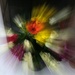 zoom burst  by kametty