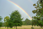 6th Aug 2024 - Rainbow over the hayfield...