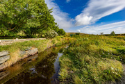 8th Aug 2024 - Hoswick Burn